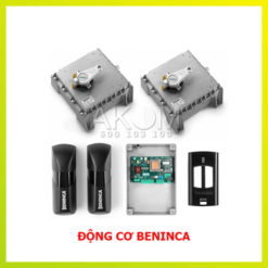 Động cơ BENINCA DU.350N